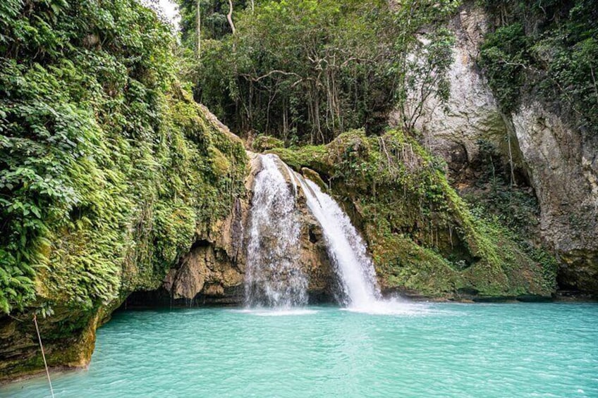 Kawasan Falls Canyoning and Moalboal Sardine Run, Sea Turtles