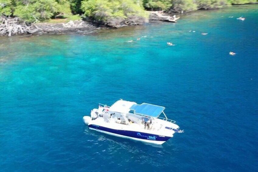 Half Day Private Cruise Tour with Snorkeling in Kona