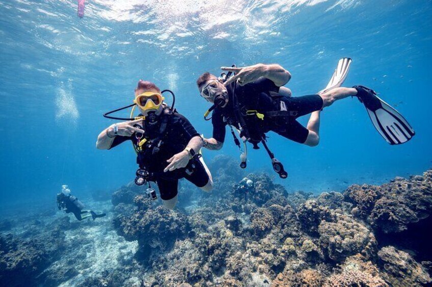 Discover Diving in the Reefs of Cozumel