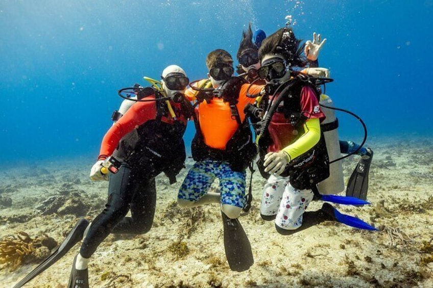 Discover Diving in the Reefs of Cozumel