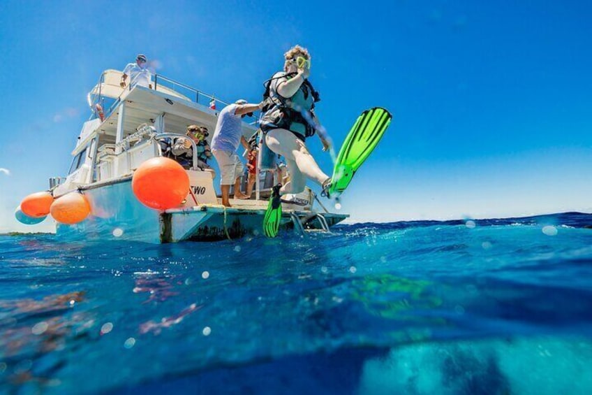 Certified Diving Experience in Cozumel