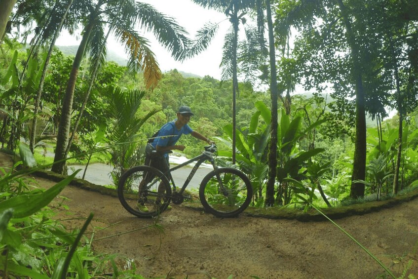 Picture 11 for Activity Paraty: Half-Day Bike Rental