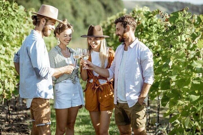 Small Group Chianti Wine Tasting and Vineyard Dinner in Tuscany