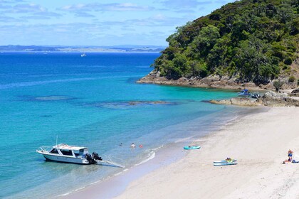 From Paihia: Scenic Cruise with Roberton Island Stopover