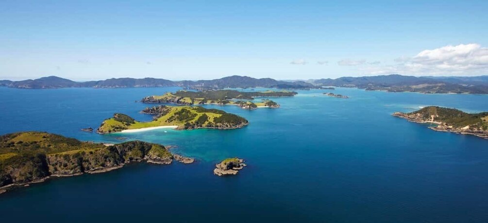 Picture 8 for Activity From Paihia: Scenic Cruise with Roberton Island Stopover