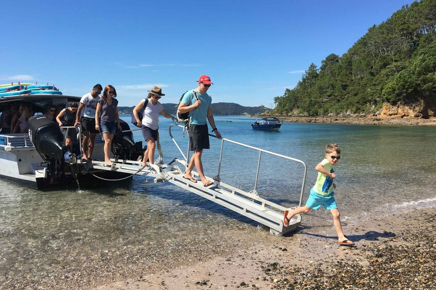 Picture 17 for Activity From Paihia: Scenic Cruise with Roberton Island Stopover