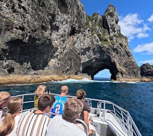 Ab Paihia: Rundfahrt mit Zwischenstopp auf der Insel Roberton