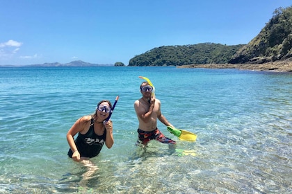 Desde Paihia: crucero panorámico con escala en la isla Roberton