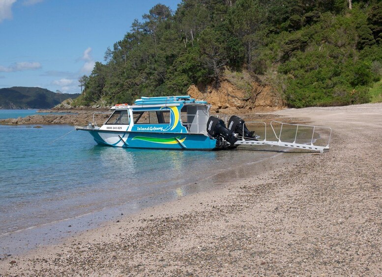 Picture 5 for Activity From Paihia: Scenic Cruise with Roberton Island Stopover