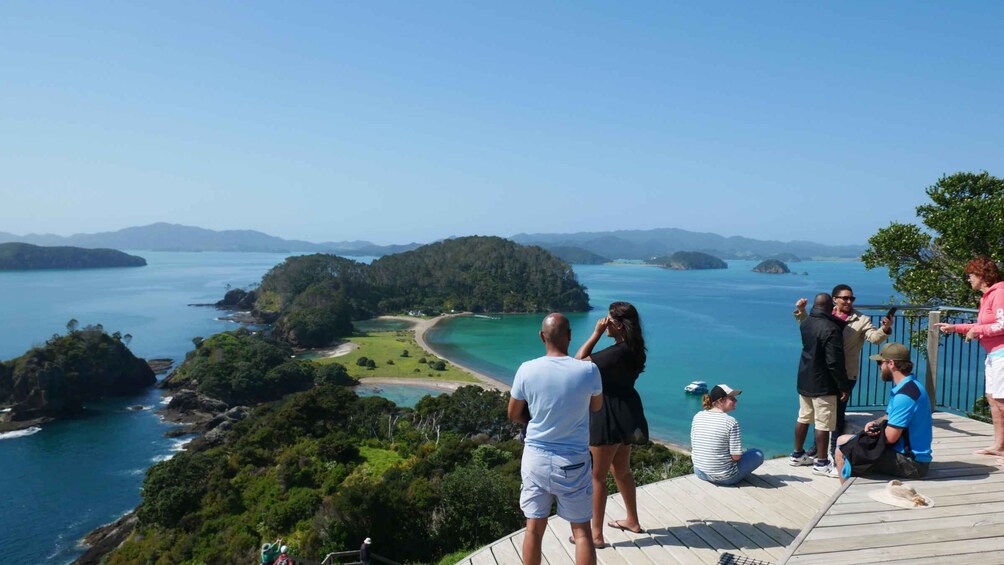 Picture 7 for Activity From Paihia: Scenic Cruise with Roberton Island Stopover