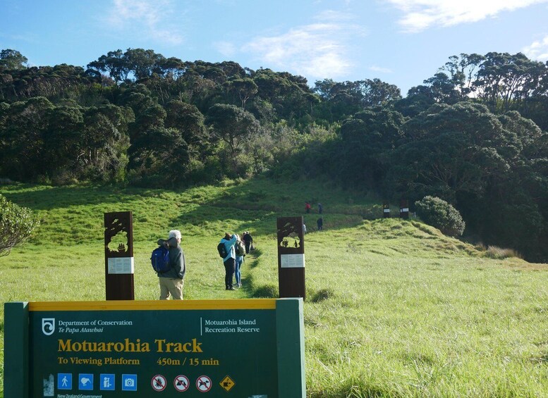 Picture 4 for Activity From Paihia: Scenic Cruise with Roberton Island Stopover