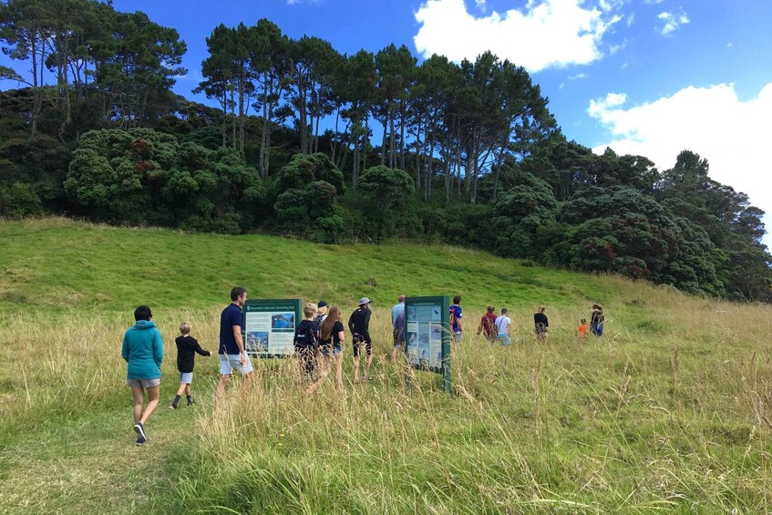 Picture 10 for Activity From Paihia: Scenic Cruise with Roberton Island Stopover