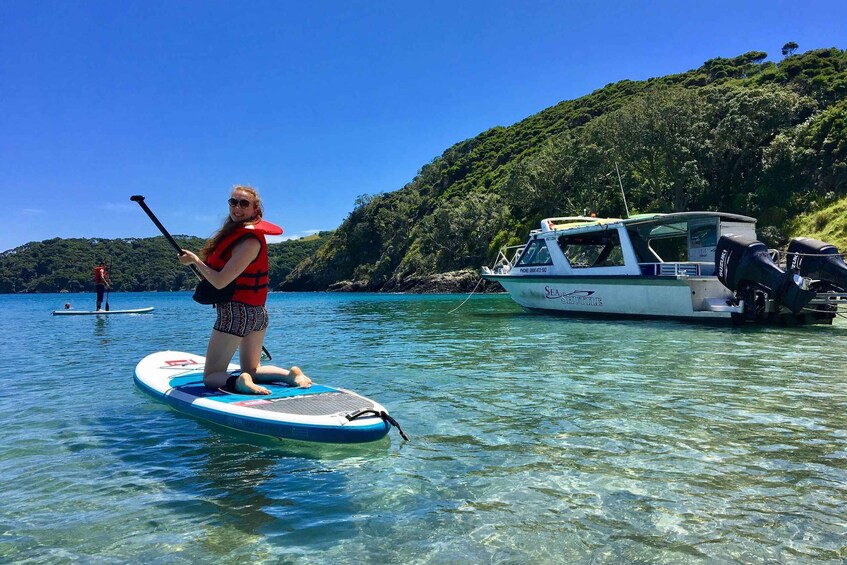 Picture 8 for Activity From Paihia: Scenic Cruise with Roberton Island Stopover