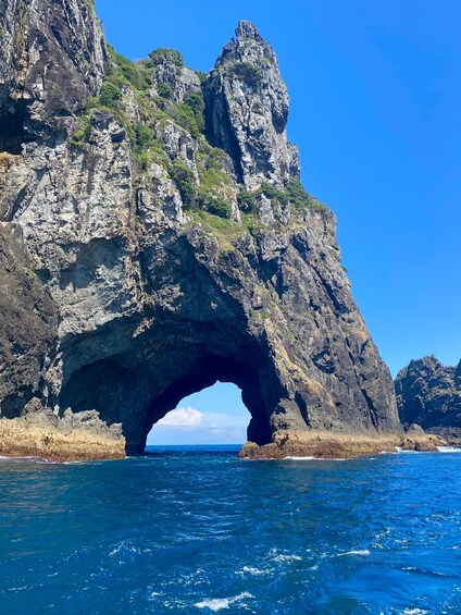 Picture 10 for Activity From Paihia: Scenic Cruise with Roberton Island Stopover