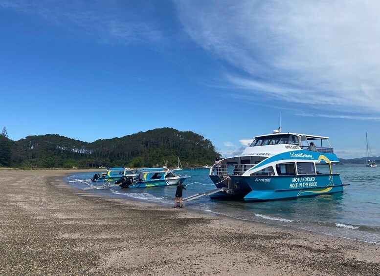 Picture 6 for Activity From Paihia: Scenic Cruise with Roberton Island Stopover