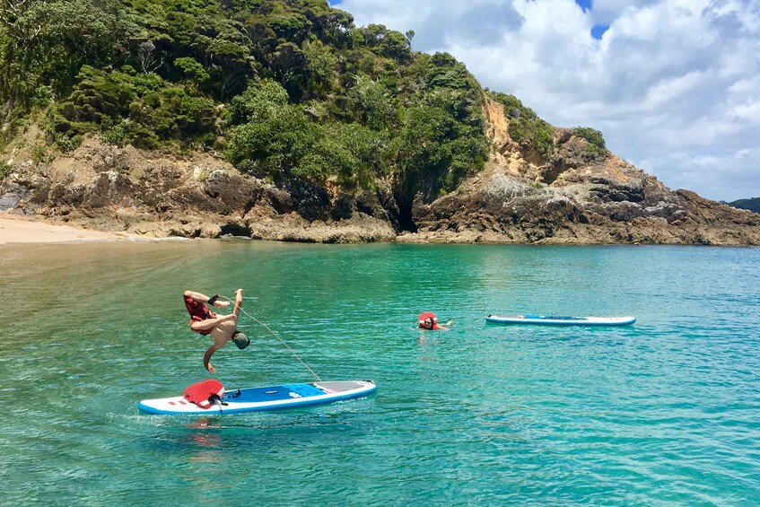 Picture 4 for Activity From Paihia: Scenic Cruise with Roberton Island Stopover