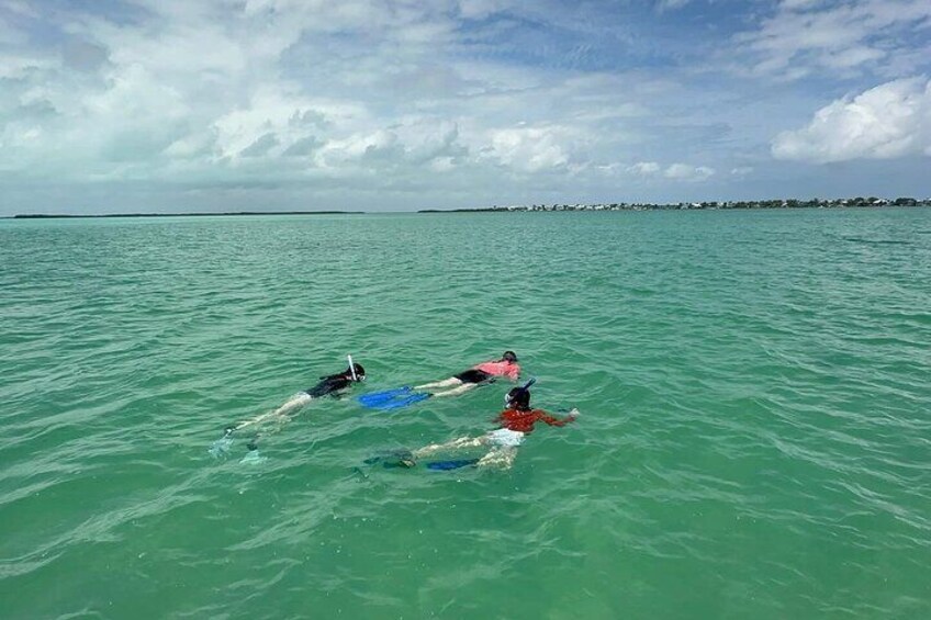 SANDBAR and SNORKELING trip in Key Largo Florida with Key Largo Boat Charters.