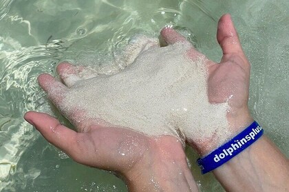 SNORKELING and SANDBAR ADVENTURE!