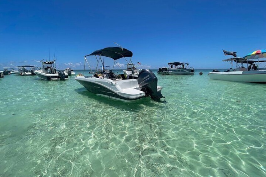 Sandbar excursion