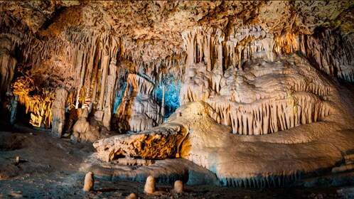 Mallorca: Caves of Hams and Dinosaurland Ticket with Pickup