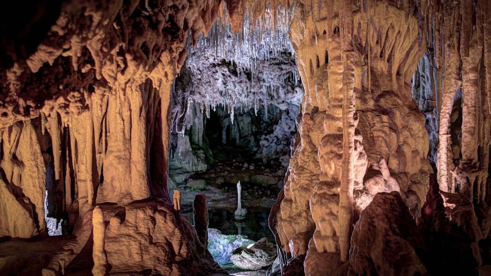 Picture 1 for Activity North/East Mallorca: Cuevas dels Hams & Porto Cristo