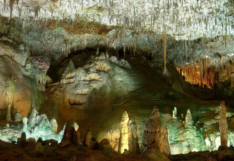 Picture 2 for Activity Mallorca: Caves of Hams and Dinosaurland Ticket with Pickup