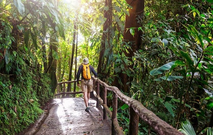 Full-Day Tour to UNESCO Khao Yai National Park