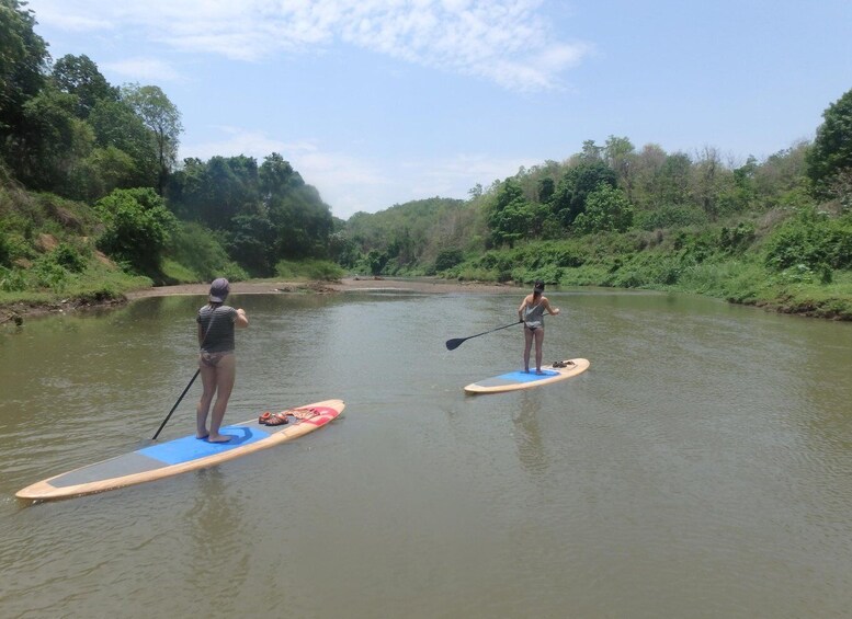 Picture 2 for Activity 15 km Stand Up Paddle Boarding down the Ping River Jungle