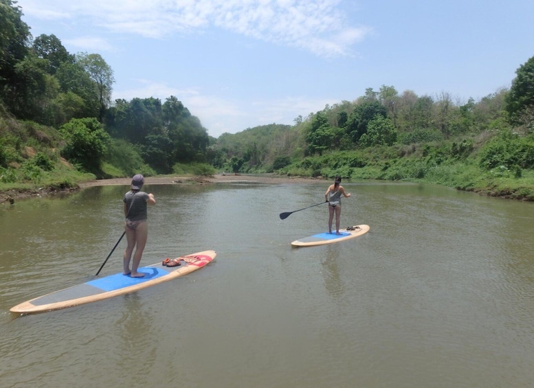 Picture 2 for Activity 1-Day Stand Up Paddle Boarding on the Mae Ping River