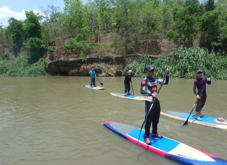 Picture 4 for Activity 15 km Stand Up Paddle Boarding down the Ping River Jungle