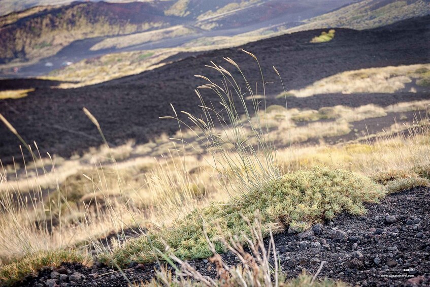 Picture 1 for Activity Cefalù: Mount Etna to 1900-Meters and Taormina Tour