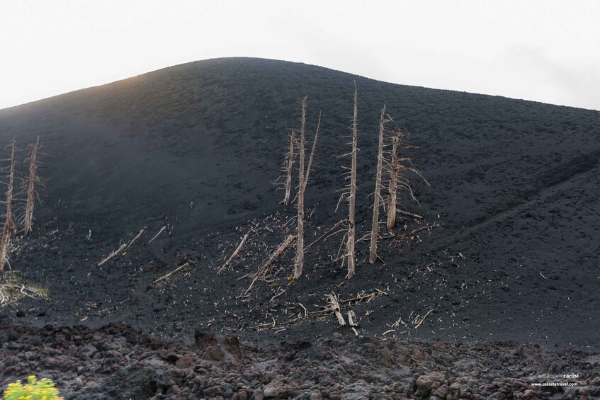 Picture 4 for Activity Cefalù: Mount Etna to 1900-Meters and Taormina Tour