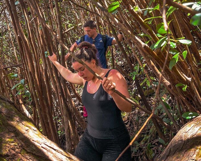 Picture 12 for Activity Mauritius: Exploring the Tamarind Falls with a Guide