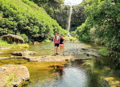 Mauritius: Exploring the Tamarind Falls with a Guide