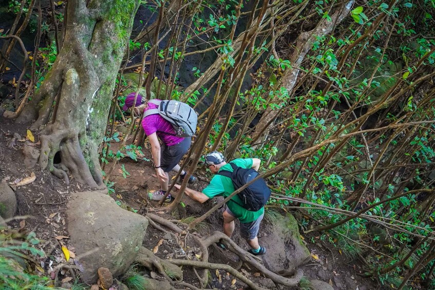 Picture 29 for Activity Mauritius: Exploring the Tamarind Falls with a Guide