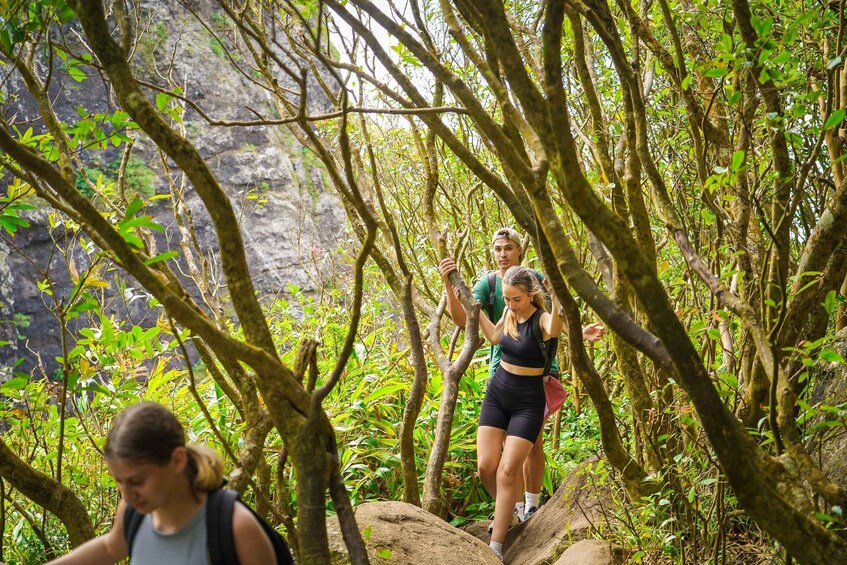 Picture 6 for Activity Mauritius: Exploring the Tamarind Falls with a Guide