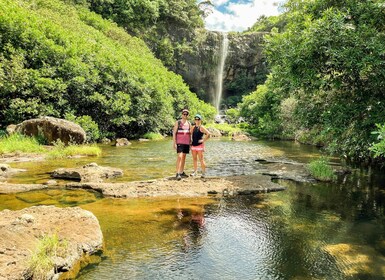Mauricio: explorando las cataratas Tamarind con un guía