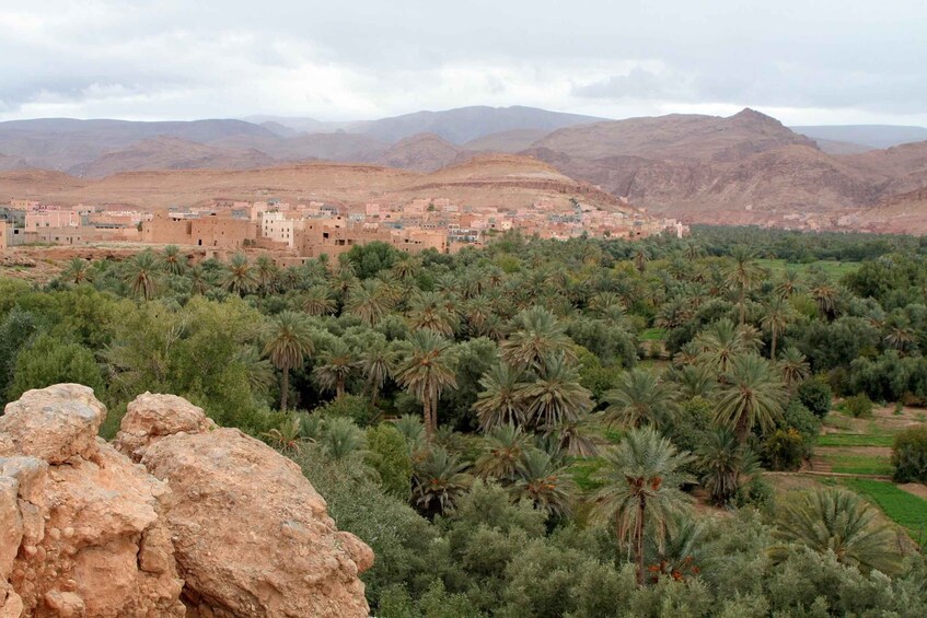 Picture 5 for Activity From Ouarzazate: Todra Gorges and 1000 Casbahs Road Day Tour