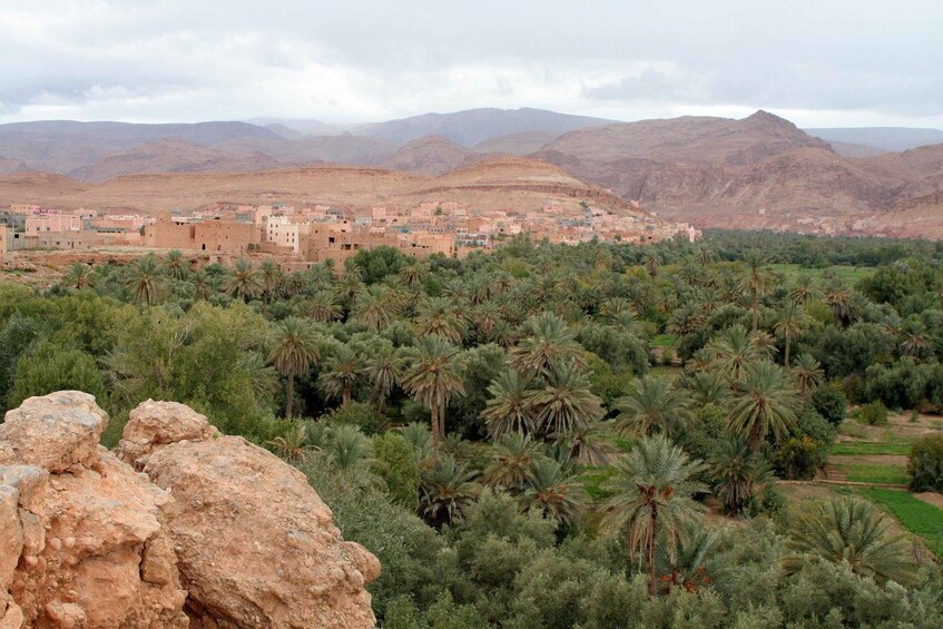 Picture 5 for Activity From Ouarzazate: Todra Gorges and 1000 Casbahs Road Day Tour