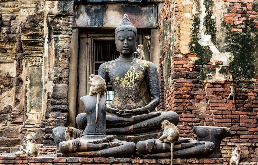 Lopburi Monkey Temple & Ayutthaya Old City (UNESCO)