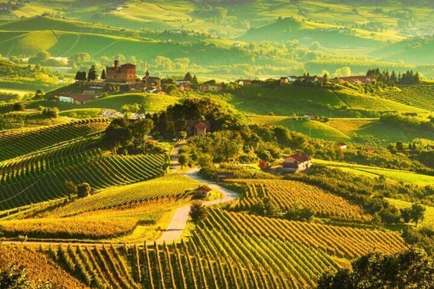 Chianti Charm & Passion: Private daytrip from Florence