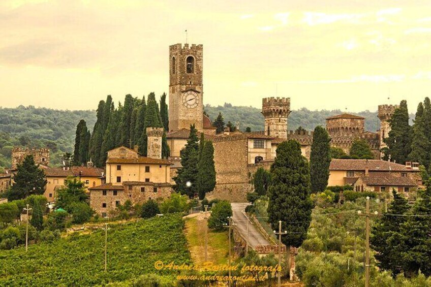 Chianti Charm & Passion: Private daytrip from Florence