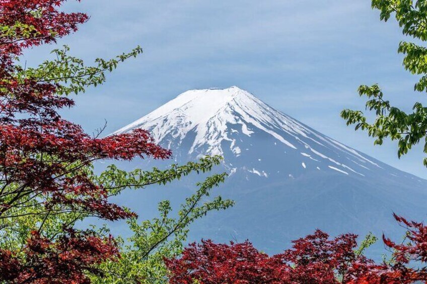 Full Day Private Tour to Mount Fuji and Hakone