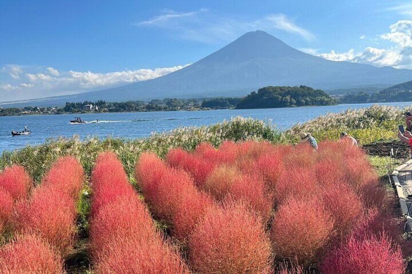 Full Day Private Tour to Mount Fuji and Hakone