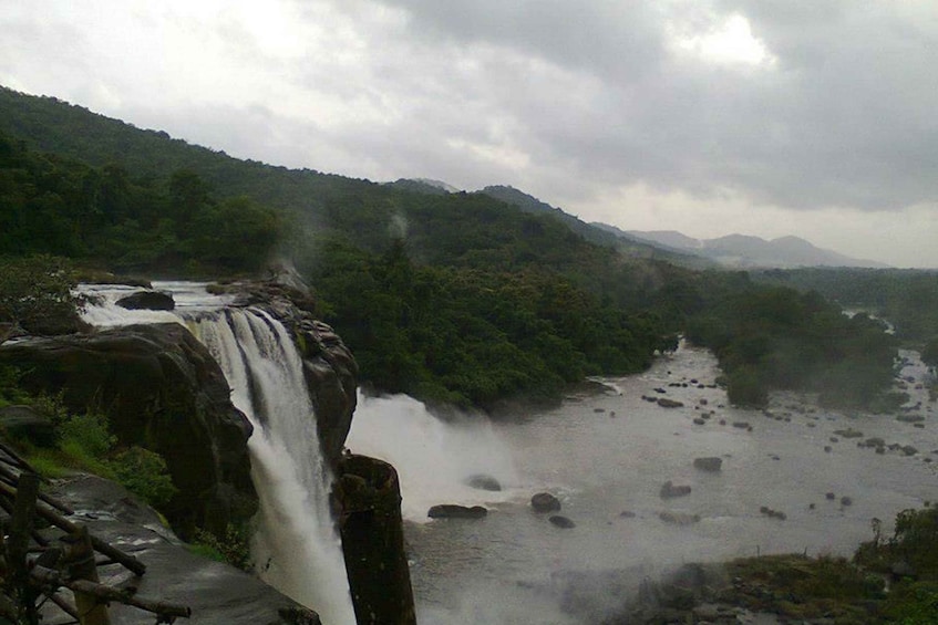 Picture 2 for Activity From Cochin: Athirappilly Waterfall Excursion with Lunch