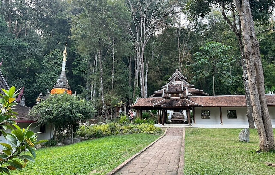 Chiang Mai: Doi Suthep Temple and Wat Pha Lat Hike