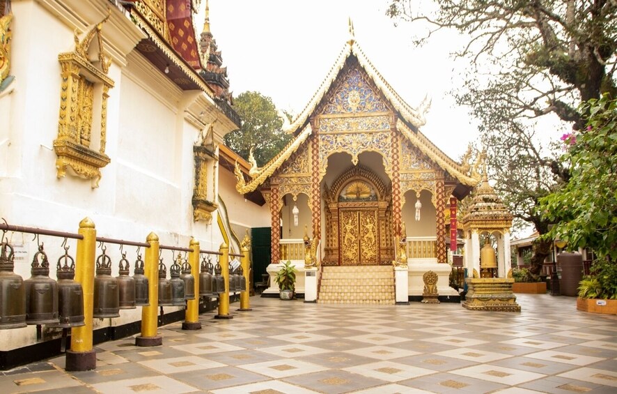 Chiang Mai: Doi Suthep Temple and Wat Pha Lat Hike