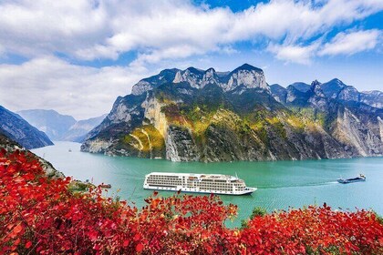 14 Days Private Best China and Yangtze River Cruise Tour.
