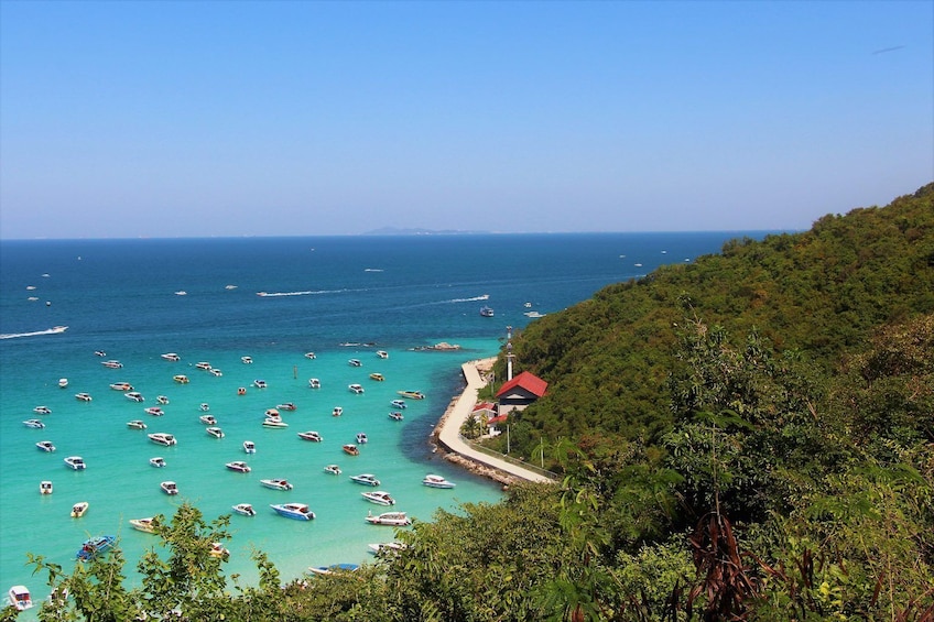 Pattaya One Day Trip