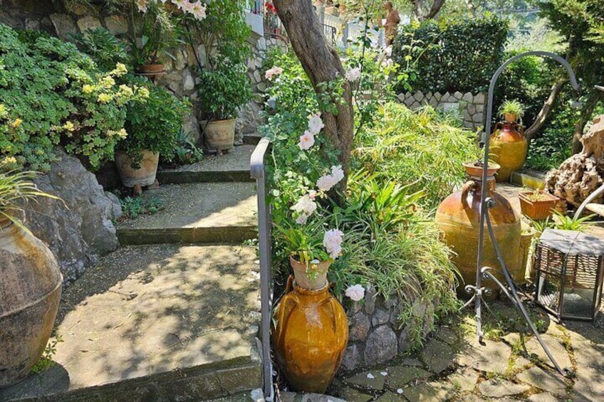 E-Bike Tour in the Sorrento Peninsula and Typical Product Tasting